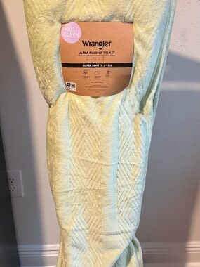 Wrangler Plush Chevron Full/Queen Throw Blanket in Pale Green